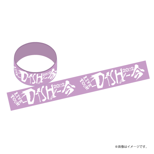 [DISH//]LIVE TOUR -DISH//- 2022「今」 Rubber Band
