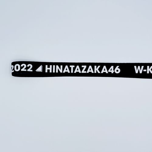 【通常配送】【通販限定】W-KEYAKI FES.2022 謎解きイベント 日向坂46セット