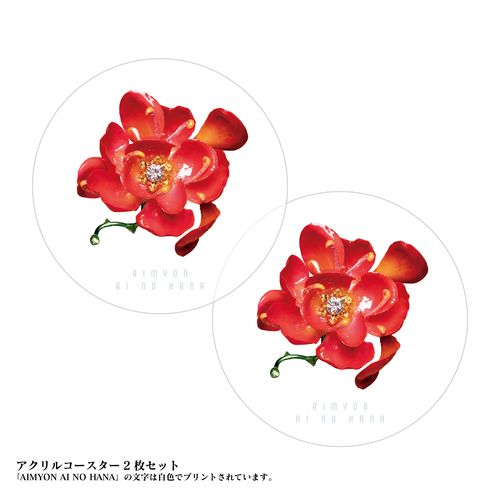 【AIM限定】14th Single「愛の花」通常盤(限定ポストカード付き)