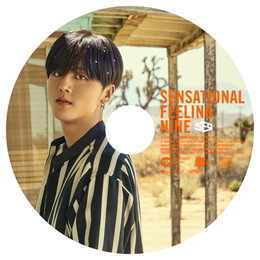 SF9 JAPAN 1st アルバム「Sensational Feeling Nine」【YONG BIN:完全生産限定ピクチャーレーベル盤】