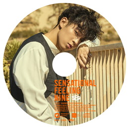 SF9 JAPAN 1st アルバム「Sensational Feeling Nine」【DA WON:完全生産限定ピクチャーレーベル盤】