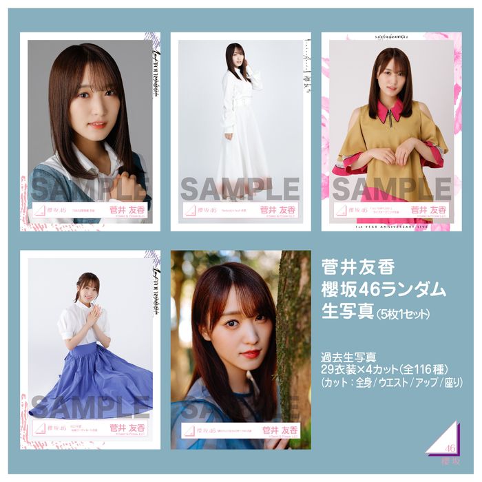 特売 菅井友香 生写真 まとめ売り asakusa.sub.jp