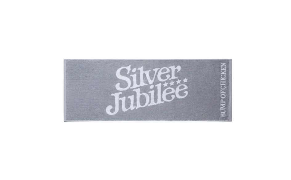Silver Jubilee Sports Towel/GRAY